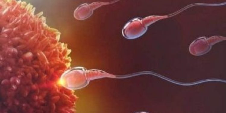 Mulher será indenizada após descobrir que foi inseminada com esperma do próprio médico