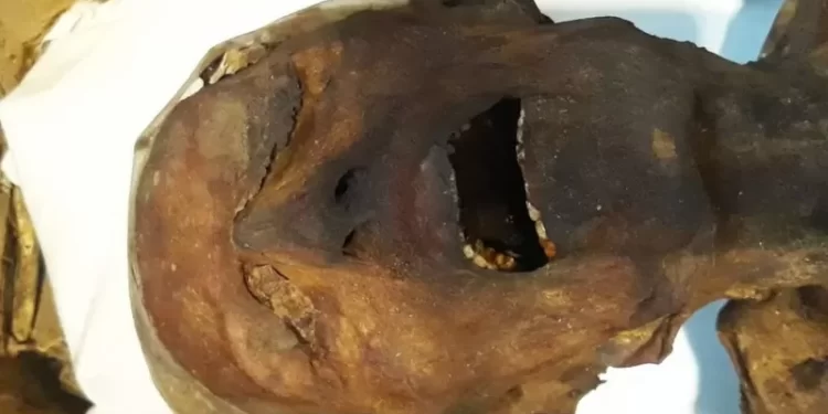 Arqueólogos dizem ter solucionado mistério sobre ‘múmia que grita’ encontrada há mais de 100 anos