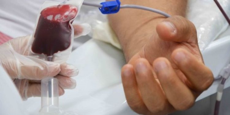 Jovens a partir dos 16 anos podem realizar doação de sangue