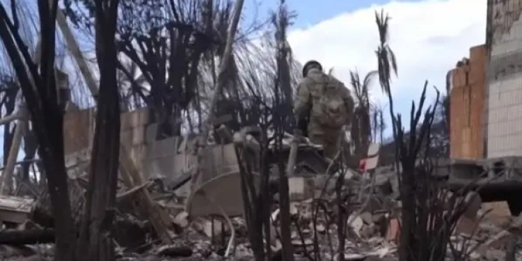 Mortos no Havaí chegam a 93 no pior incêndio florestal dos EUA em 100 anos