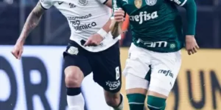 Sequências de vitórias de Flamengo e Palmeiras sobre Botafogo e Corinthians