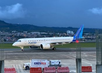 Leila Pereira, do Palmeiras, vai disponibilizar avião para levar alimentos e produtos ao RS