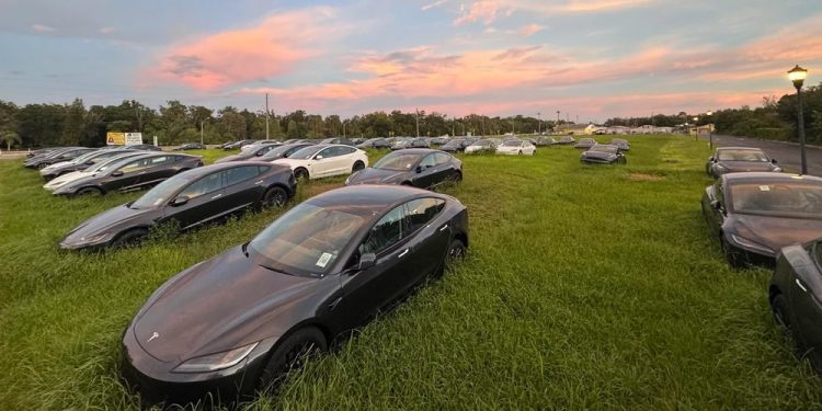 Por que há centenas de Teslas abandonados em um terreno baldio nos EUA? Entenda o mistério