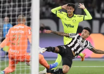 Botafogo vence Palmeiras e abre vantagem nas oitavas da Libertadores
