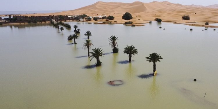 Chuva no Saara cria lagoas entre as dunas do deserto