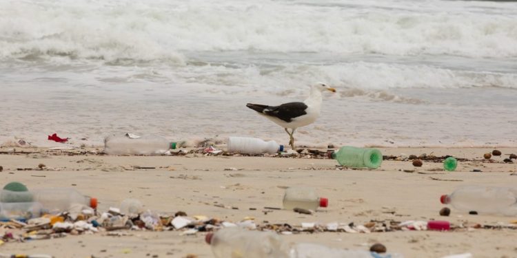 Brasil despeja 1,3 milhão de toneladas de plástico nos mares: 8% da poluição global