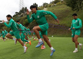 Entenda como e por que altitude muda estilo de jogo do Palmeiras